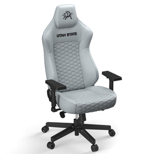 Utah State Office Chair